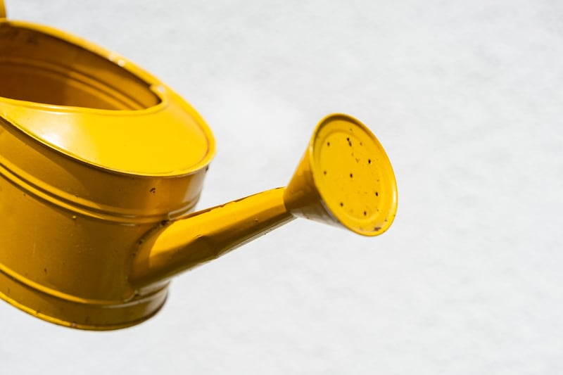 Crystal watering can