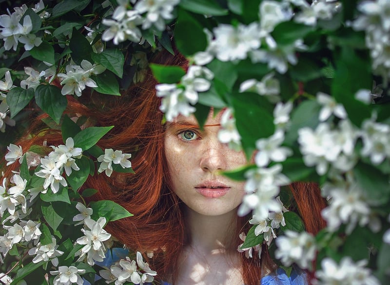 Whimsical blooms