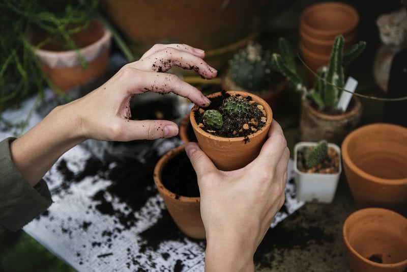 Engraved Plant Markers